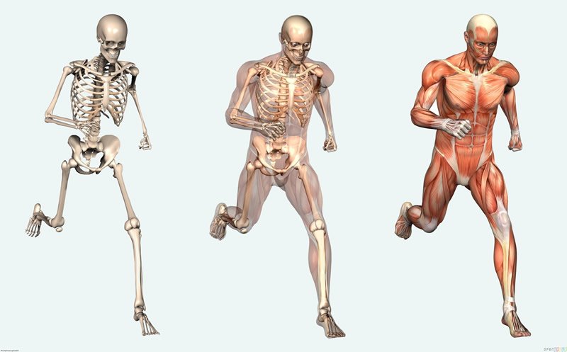 Man 101: What You Must Know About Life and Death