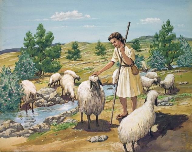 The Effective Shepherd of a Few Sheep: Secret of Leaders That Influence Generations