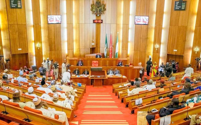 The Illusion of Nigeriaâ€™s NASS: Who Sent Them?